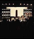 AAF207-171.jpg